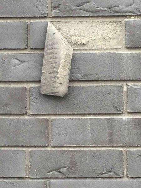 Daily Picdump [WEEKEND EDITION]