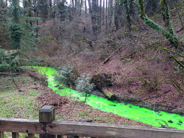 daily picdump weekend edition 52 pics 5.html - 52 HD Photos | Premium Gallery 2017