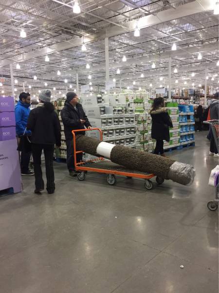 daily picdump weekend edition 52 pics 5.html - 52 HD Photos | Premium Gallery 2017