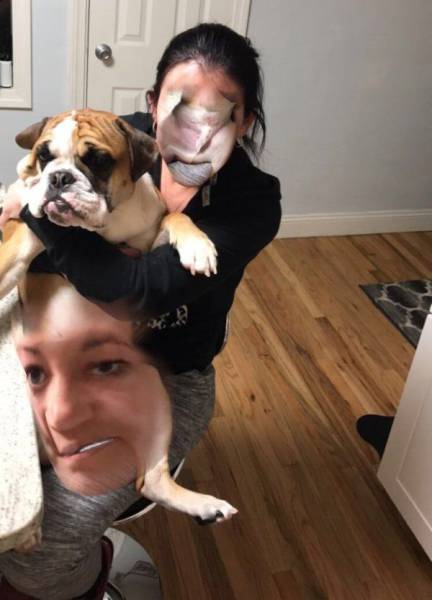 daily picdump 91 pics 1.html - 91 HD Photos | Premium Gallery 2017