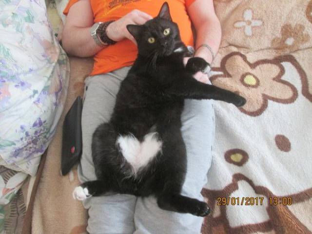 daily picdump 91 pics 1.html - 91 HD Photos | Premium Gallery 2017