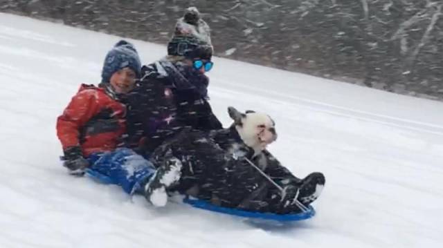 daily picdump 91 pics 1.html - 91 HD Photos | Premium Gallery 2017