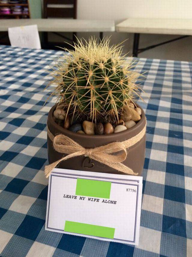 daily picdump 91 pics 1.html - 91 HD Photos | Premium Gallery 2017