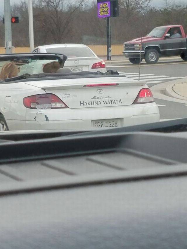 daily picdump 91 pics 1.html - 91 HD Photos | Premium Gallery 2017