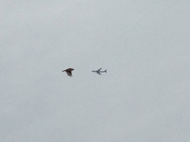 morning picdump 52 pics 21.html - 52 HD Photos | Premium Gallery 2017