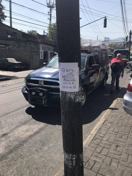 morning picdump 52 pics 21.html - 52 HD Photos | Premium Gallery 2017