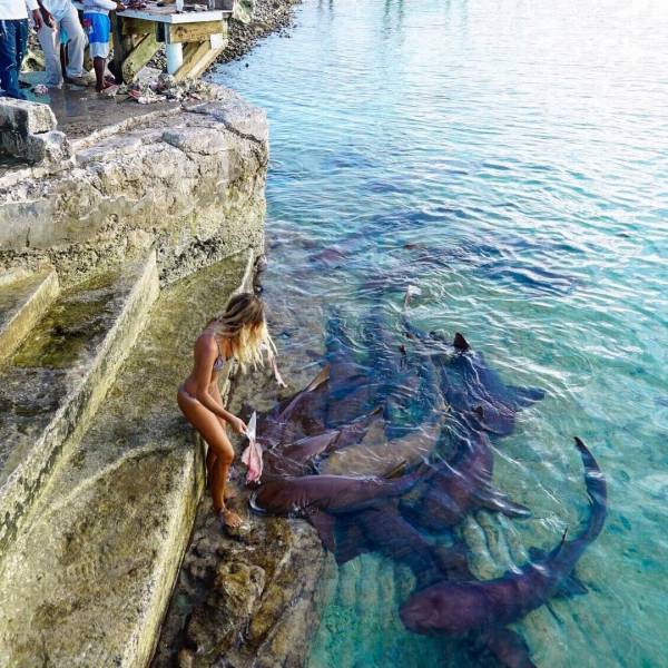 They Just Don’t Give A F#ck On Bali…