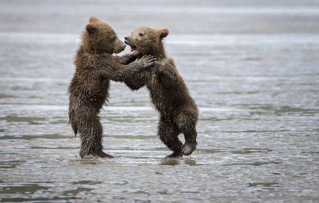 daily picdump 100 pics 7.html - 100 HD Photos | Premium Gallery 2017