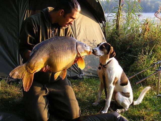 daily picdump 100 pics 7.html - 100 HD Photos | Premium Gallery 2017