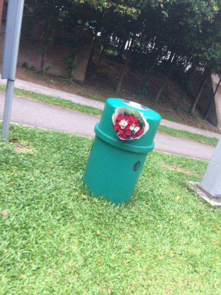 daily picdump 100 pics 7.html - 100 HD Photos | Premium Gallery 2017