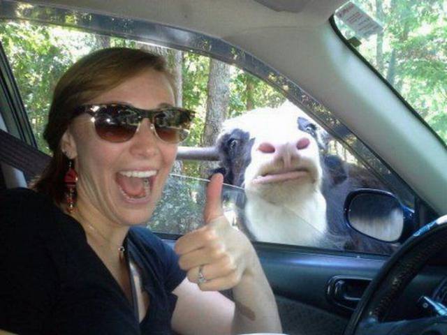 daily picdump 100 pics 7.html - 100 HD Photos | Premium Gallery 2017