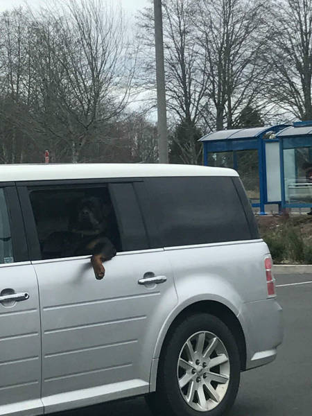 morning picdump 51 pics 3.html - 51 HD Photos | Premium Gallery 2017