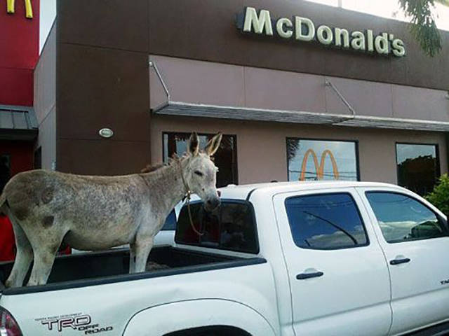 morning picdump 51 pics 3.html - 51 HD Photos | Premium Gallery 2017