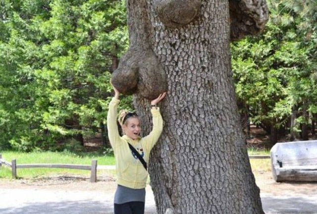 Trash Humor Is Still Humor, Right?