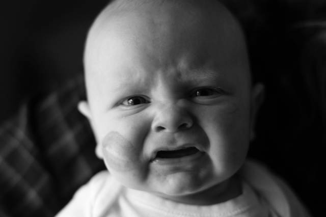 daily picdump 97 pics 16.html - 97 HD Photos | Premium Gallery 2017