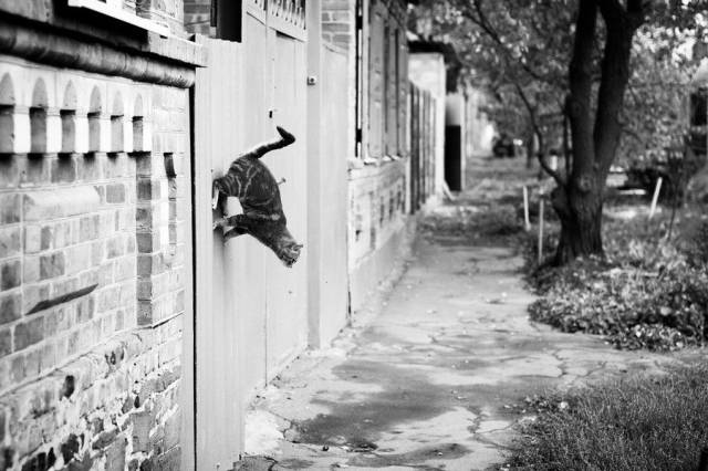 daily picdump 97 pics 16.html - 97 HD Photos | Premium Gallery 2017