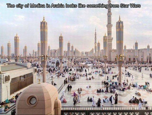 daily picdump 97 pics 16.html - 97 HD Photos | Premium Gallery 2017