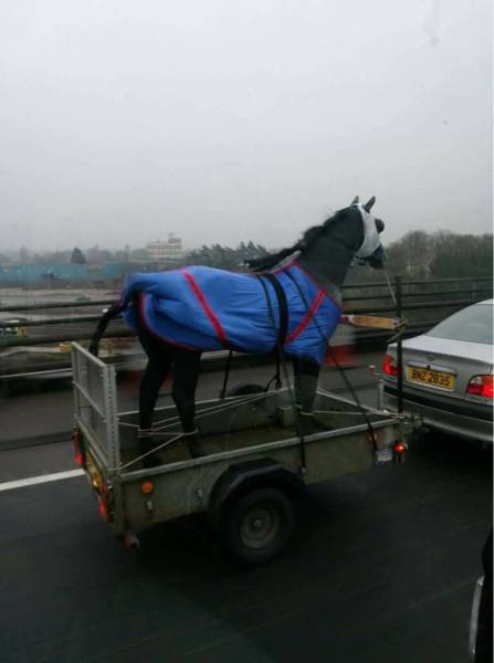 daily picdump 97 pics 16.html - 97 HD Photos | Premium Gallery 2017