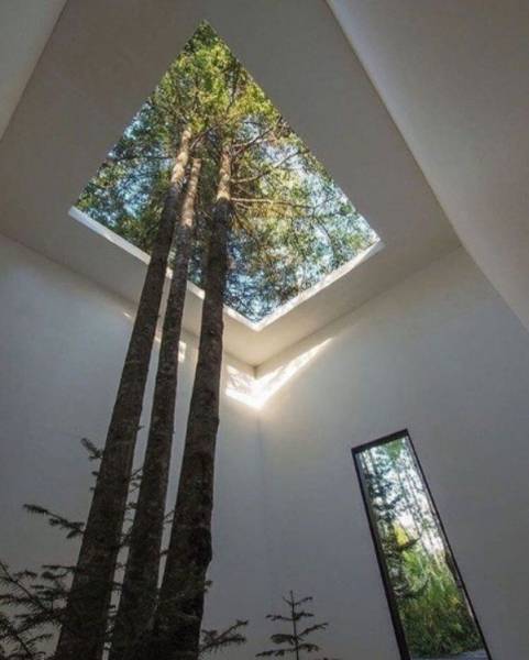 daily picdump 97 pics 16.html - 97 HD Photos | Premium Gallery 2017