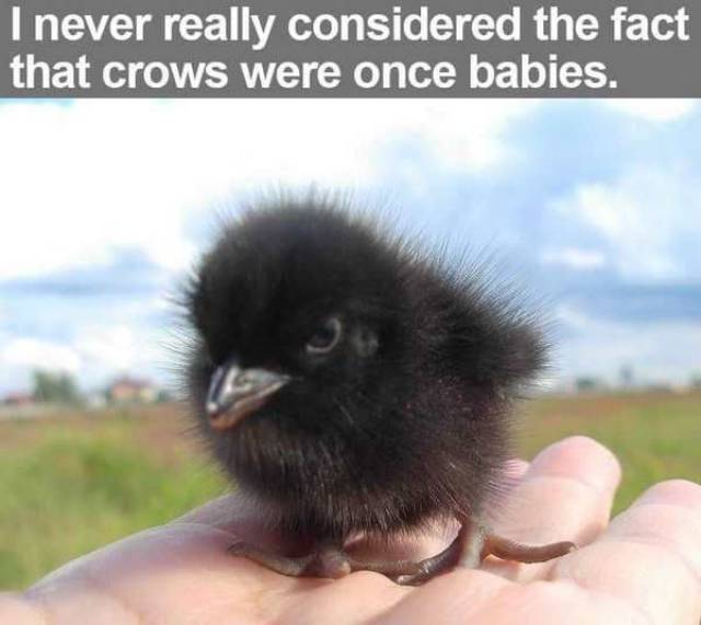 daily picdump 97 pics 16.html - 97 HD Photos | Premium Gallery 2017