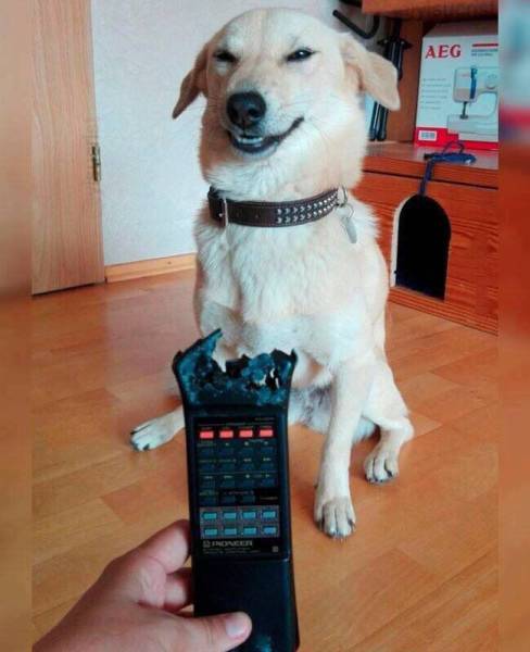 daily picdump 97 pics 16.html - 97 HD Photos | Premium Gallery 2017