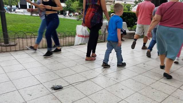 daily picdump 97 pics 16.html - 97 HD Photos | Premium Gallery 2017