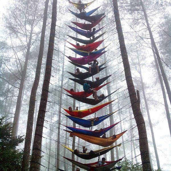 daily picdump 97 pics 16.html - 97 HD Photos | Premium Gallery 2017