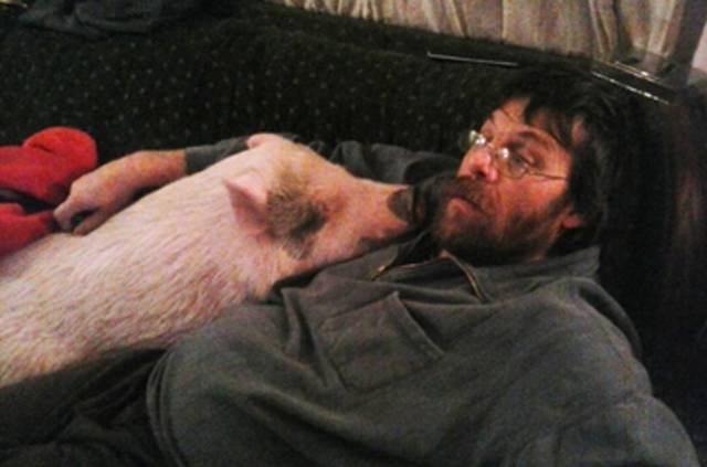 Literally The Worst Crime Attempts Ever Made