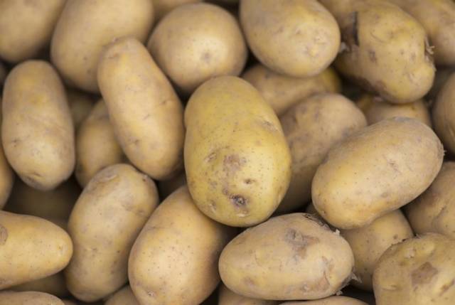 Literally The Worst Crime Attempts Ever Made