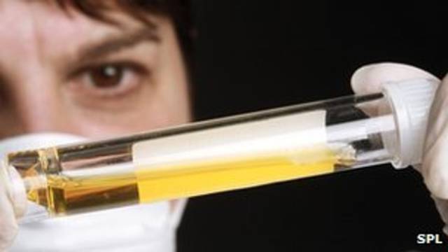 Literally The Worst Crime Attempts Ever Made