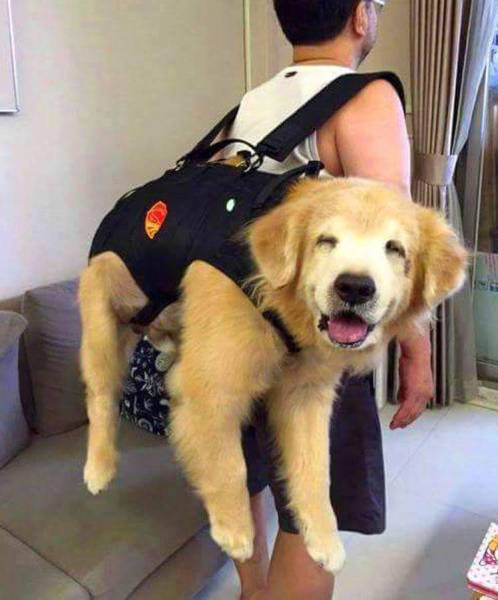 morning picdump 51 pics 2.html - 51 HD Photos | Premium Gallery 2017