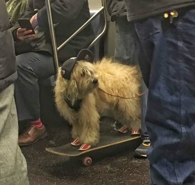 morning picdump 51 pics 2.html - 51 HD Photos | Premium Gallery 2017