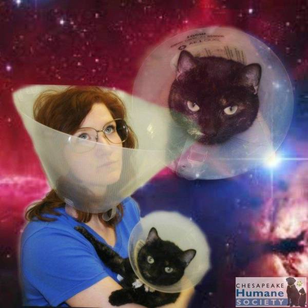 morning picdump 51 pics 2.html - 51 HD Photos | Premium Gallery 2017