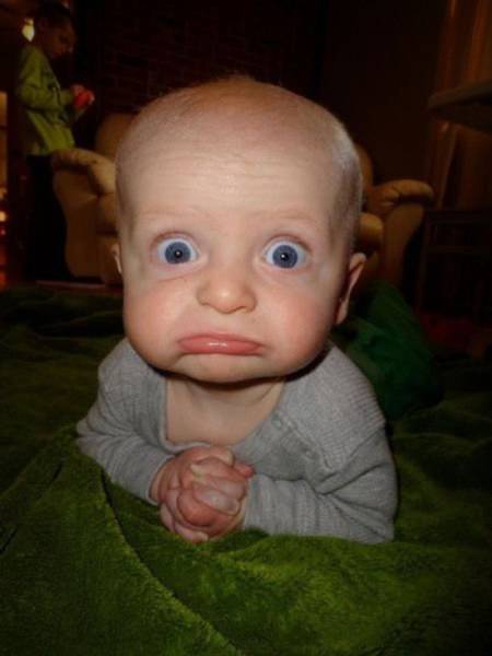 daily picdump 97 pics 20.html - 97 HD Photos | Premium Gallery 2017