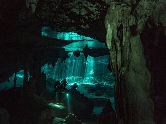 daily picdump 97 pics 20.html - 97 HD Photos | Premium Gallery 2017