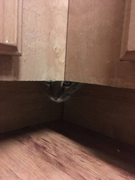 daily picdump 97 pics 20.html - 97 HD Photos | Premium Gallery 2017