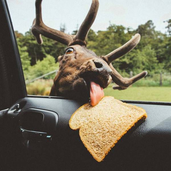 daily picdump 97 pics 20.html - 97 HD Photos | Premium Gallery 2017