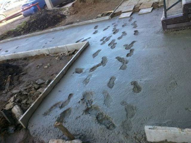 daily picdump 97 pics 20.html - 97 HD Photos | Premium Gallery 2017