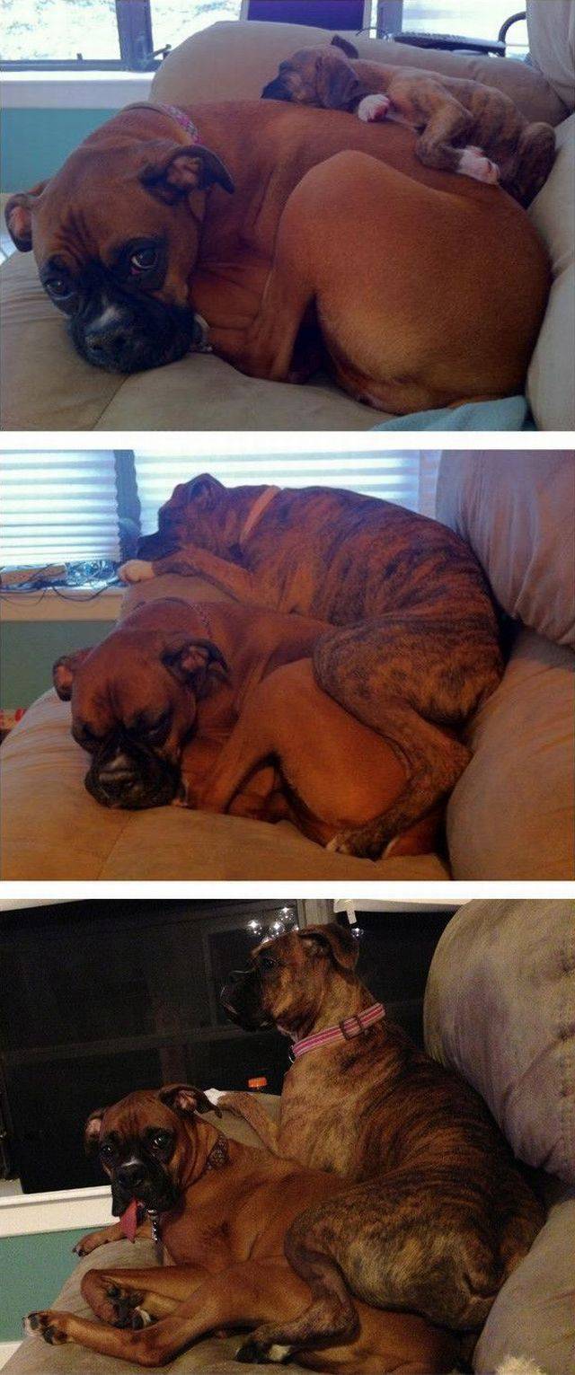 daily picdump 97 pics 20.html - 97 HD Photos | Premium Gallery 2017