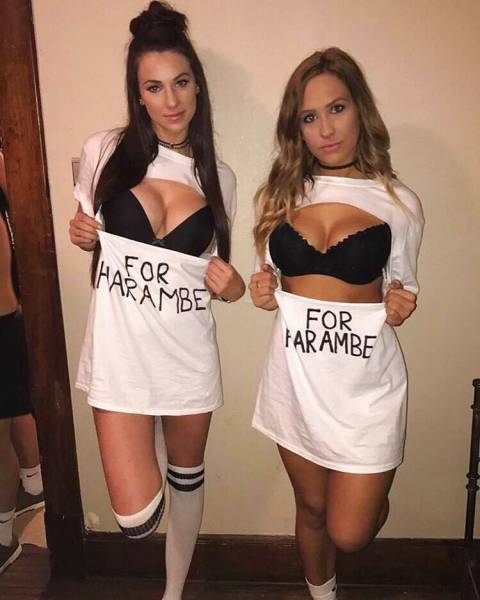 grownup corner 58 pics 9 gifs 21.html - 58 HD GIF | Premium Gallery 2017