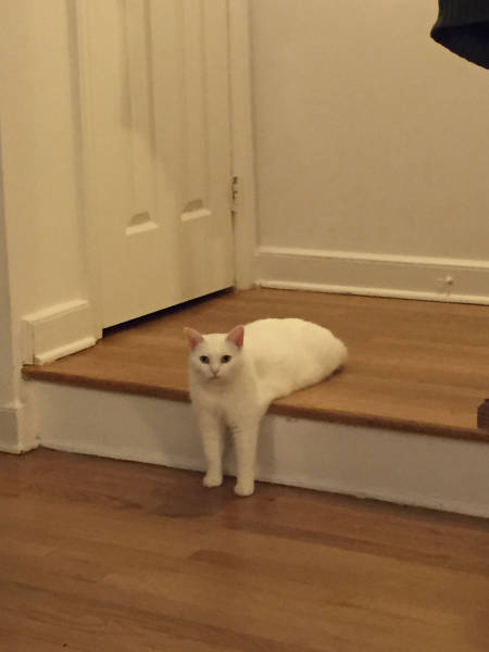 morning picdump 51 pics 2.html - 51 HD Photos | Premium Gallery 2017