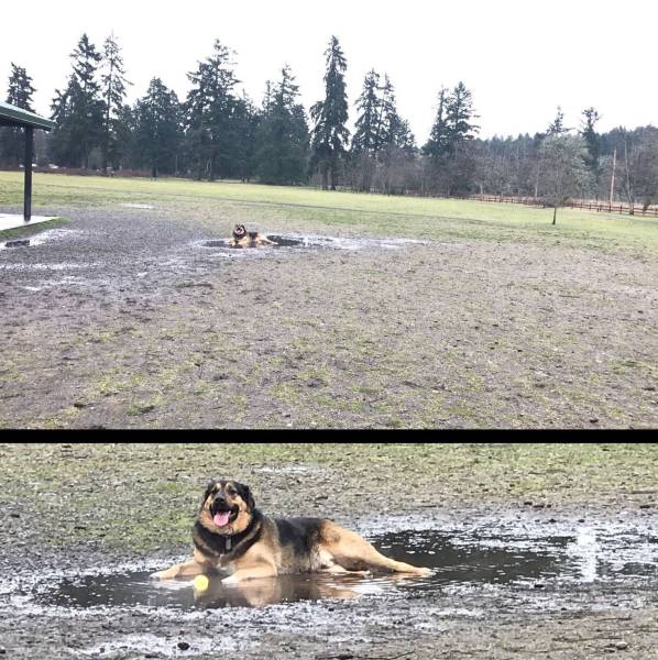 daily picdump 102 pics 34.html - 102 HD Photos | Premium Gallery 2017