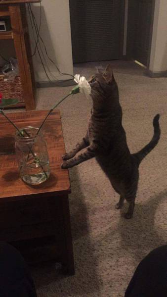 daily picdump 102 pics 34.html - 102 HD Photos | Premium Gallery 2017