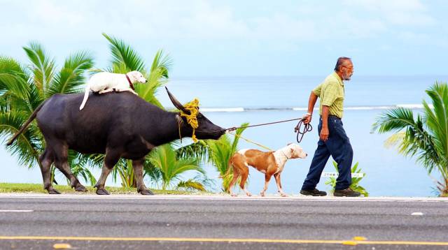 daily picdump 102 pics 34.html - 102 HD Photos | Premium Gallery 2017