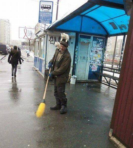 daily picdump 102 pics 34.html - 102 HD Photos | Premium Gallery 2017