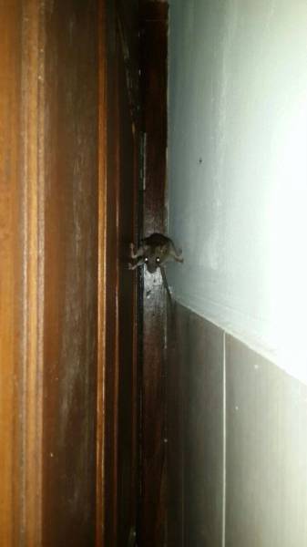 daily picdump 102 pics 34.html - 102 HD Photos | Premium Gallery 2017