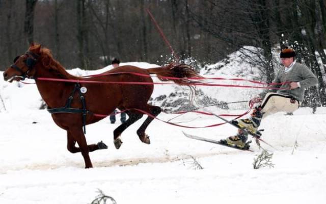 daily picdump 102 pics 34.html - 102 HD Photos | Premium Gallery 2017