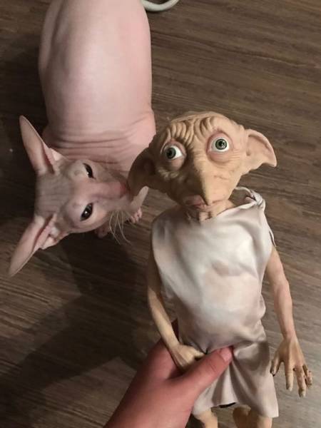 daily picdump 102 pics 34.html - 102 HD Photos | Premium Gallery 2017