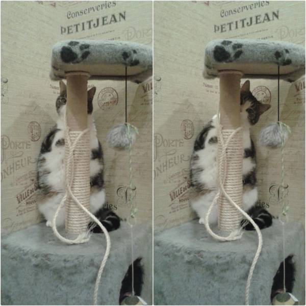 daily picdump 102 pics 34.html - 102 HD Photos | Premium Gallery 2017