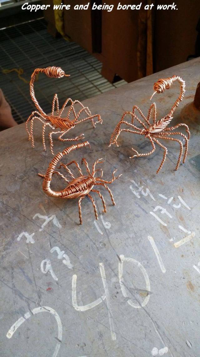 daily picdump 102 pics 34.html - 102 HD Photos | Premium Gallery 2017